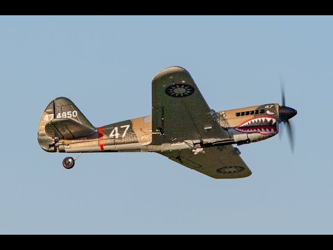 Rage R/C - Curtiss P-40 Warhawk Micro RTF Airplane w/PASS RGRA1305