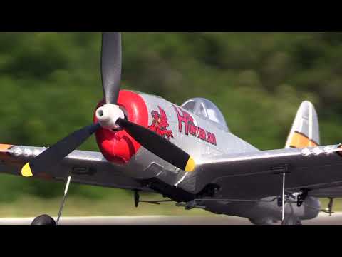 Rage R/C - P-47 Thunderbolt Micro RTF Airplane with PASS (Pilot Assist Stability Software) System RGRA1307